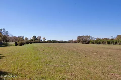 0 Beaman Old Creek Road Rd, Walstonburg, NC 27888