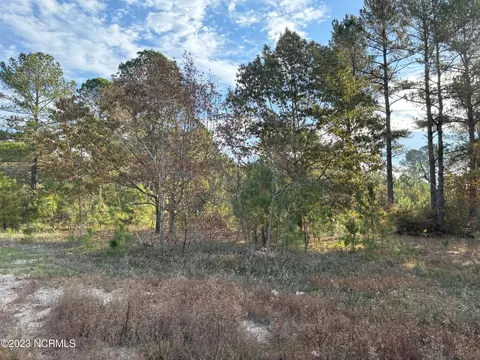 541 Governors Estate Dr, Elizabethtown, NC 28337