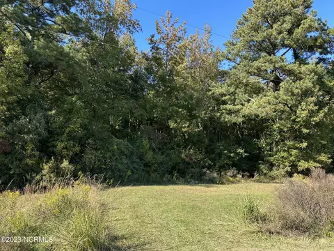 907 Sandy Ridge Rd, Tyner, NC 27980 photo 4