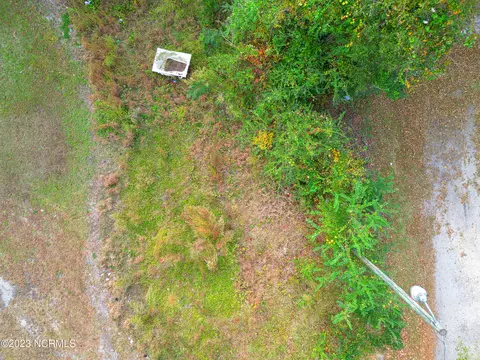 210 E Williamson St, Mount Olive, NC 28365 photo 4
