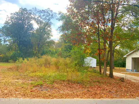 210 E Williamson St, Mount Olive, NC 28365