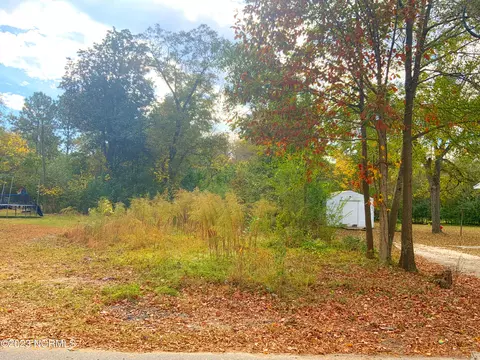 210 E Williamson St, Mount Olive, NC 28365 photo 6