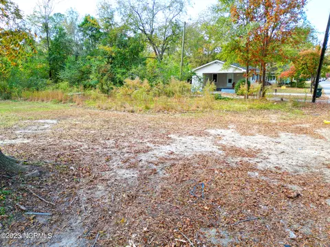 210 E Williamson St, Mount Olive, NC 28365 photo 3