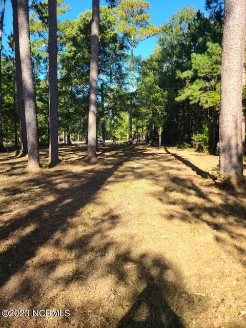 12 Shore Dr E, Oriental, NC 28571 photo 12