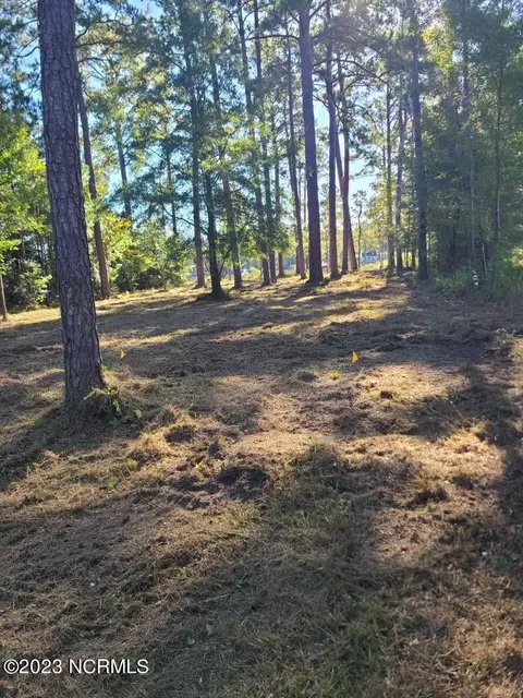 12 Shore Dr E, Oriental, NC 28571 photo 10