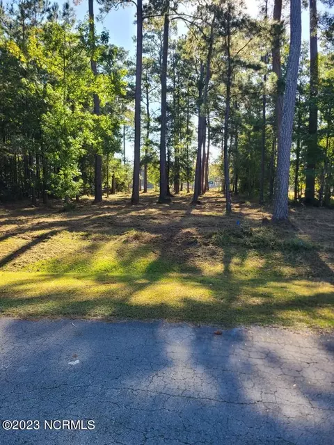12 Shore Dr E, Oriental, NC 28571 photo 9