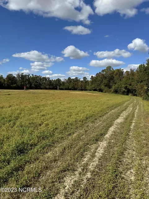 0 Near Will Inman Rd, Tabor City, NC 28463
