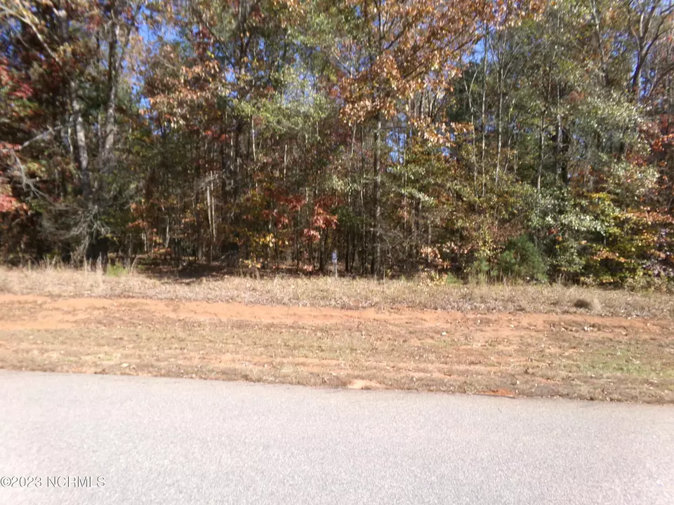166 North State Lane, Rockingham, NC 28379 | 5 Photos - Movoto