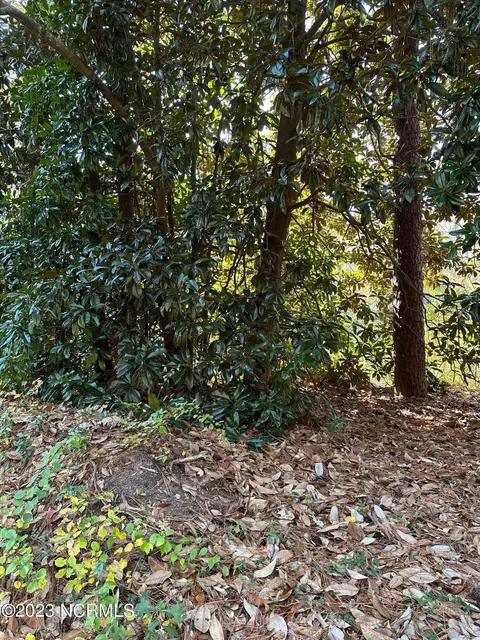 tbd Minturn Ave, Hamlet, NC 28345 photo 3