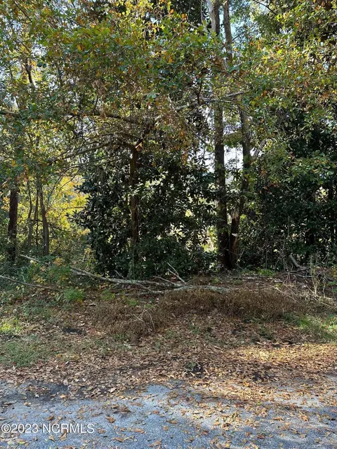 tbd Minturn Ave, Hamlet, NC 28345 photo 4