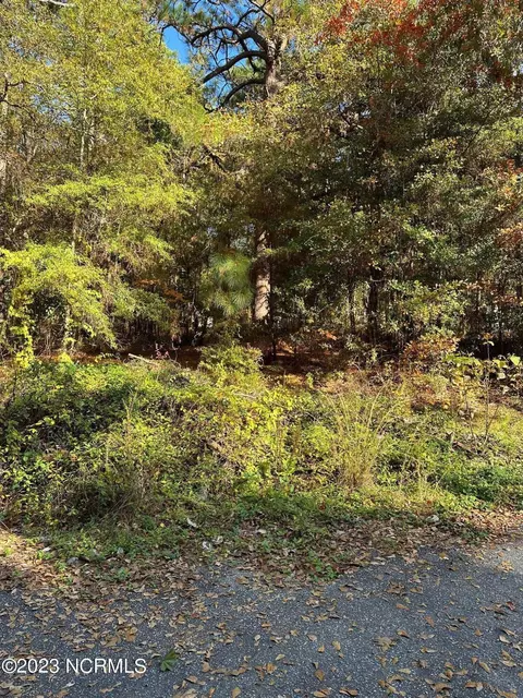 tbd Minturn Ave, Hamlet, NC 28345