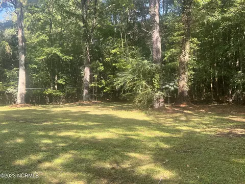 2970 Backwoods Rd, Roper, NC 27970 photo 8