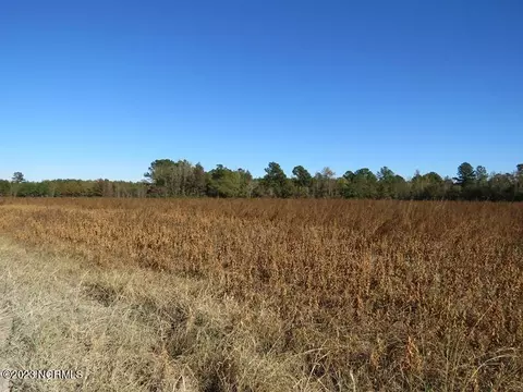 tbd Corey Rd, Maxton, NC 28364 photo 8