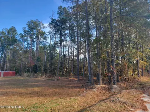 157 Charles St, Hamlet, NC 28345 photo 38
