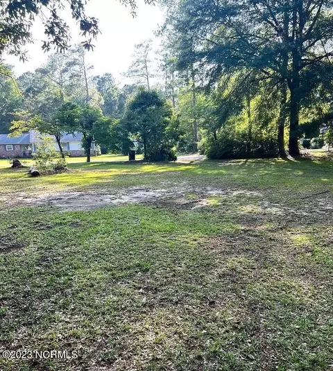 183 Gapway Rd, Fair Bluff, NC 28439 photo 8