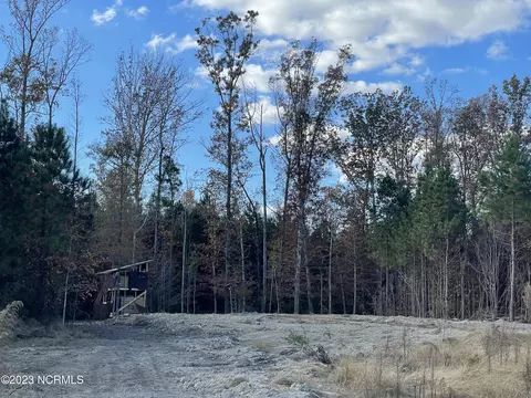 1940 Reason Rd, Williamston, NC 27892 photo 44