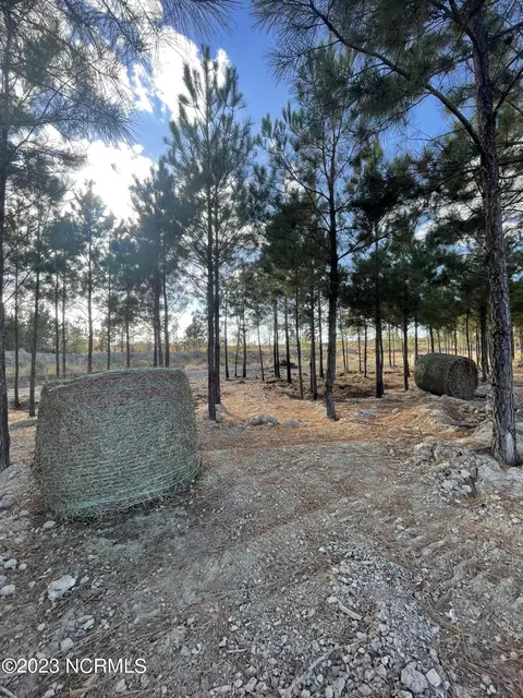 1940 Reason Rd, Williamston, NC 27892 photo 39