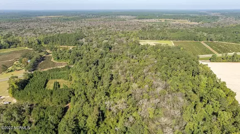 0 Mote Rd, Harrells, NC 28444 photo 5