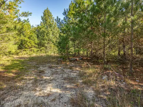 0 Mote Rd, Harrells, NC 28444 photo 30