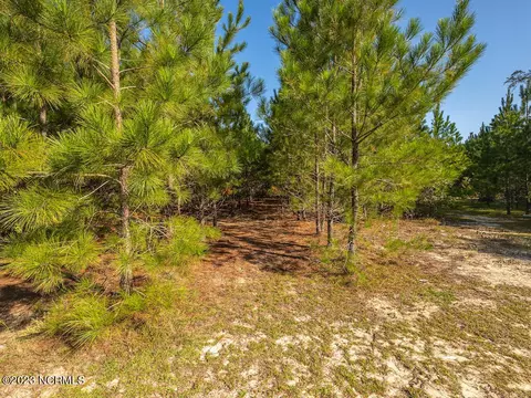 0 Mote Rd, Harrells, NC 28444 photo 28