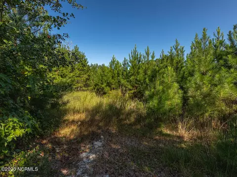 0 Mote Rd, Harrells, NC 28444 photo 24