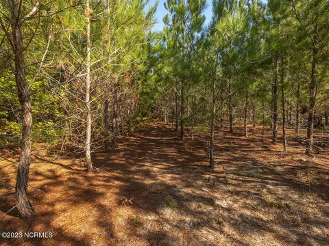0 Mote Rd, Harrells, NC 28444 photo 27