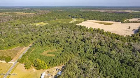 0 Mote Rd, Harrells, NC 28444 photo 7