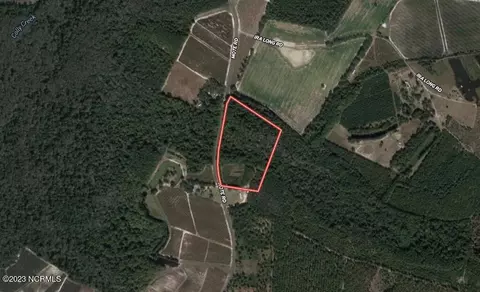 0 Mote Rd, Harrells, NC 28444 photo 2