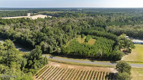 0 Mote Rd, Harrells, NC 28444 photo 23