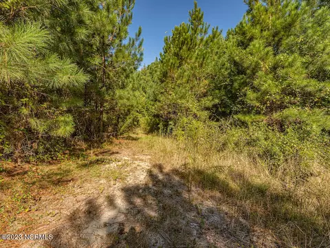 0 Mote Rd, Harrells, NC 28444 photo 31