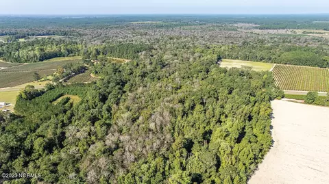 0 Mote Rd, Harrells, NC 28444 photo 12
