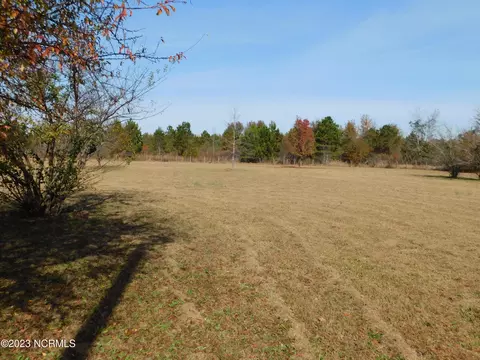 233 Grapevine Dr, Maxton, NC 28364 photo 4