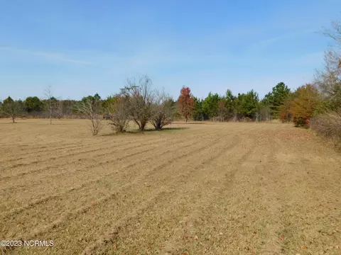 233 Grapevine Dr, Maxton, NC 28364 photo 14