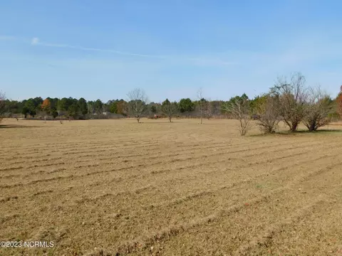 233 Grapevine Dr, Maxton, NC 28364 photo 13