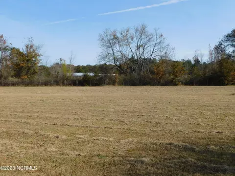 233 Grapevine Dr, Maxton, NC 28364 photo 11