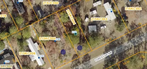 2146 Forest Dr SW, Supply, NC 28462 photo 11
