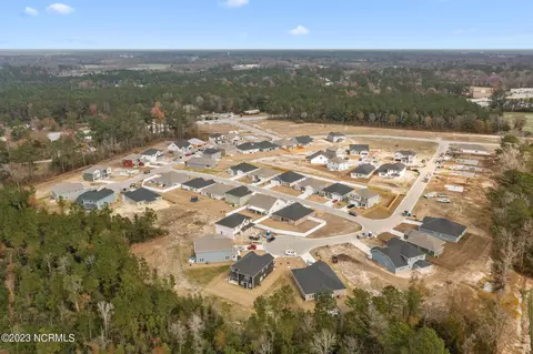 View/Area - 903 Eakins Ln, Richlands, NC 28574 photo 1 of 4