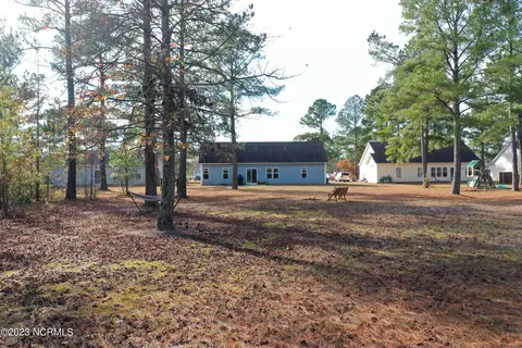 113 Boysenberry Fields Rd, Maple Hill, NC 28454 photo 30