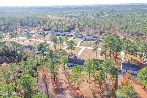 113 Boysenberry Fields Rd, Maple Hill, NC 28454 photo 25