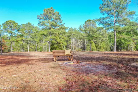 113 Boysenberry Fields Rd, Maple Hill, NC 28454 photo 27
