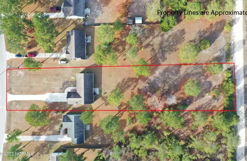 113 Boysenberry Fields Rd, Maple Hill, NC 28454 photo 29