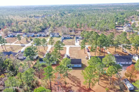 113 Boysenberry Fields Rd, Maple Hill, NC 28454 photo 24