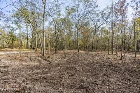 117 Highway Off Three Cypress Rd, Willard, NC 28478 photo 7
