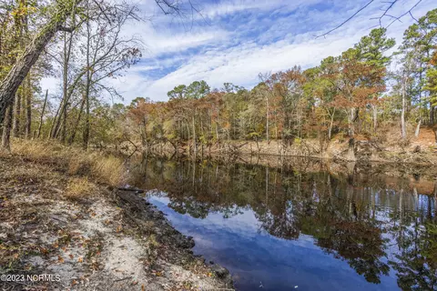 117 Highway Off Three Cypress Rd, Willard, NC 28478 photo 9