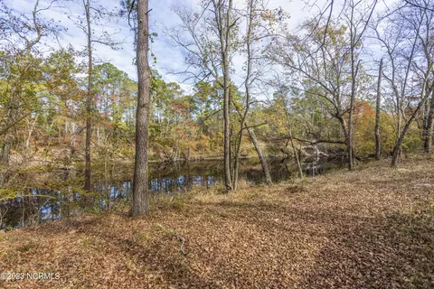 117 Highway Off Three Cypress Rd, Willard, NC 28478 photo 8