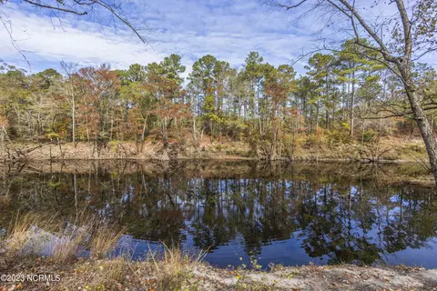 117 Highway Off Three Cypress Rd, Willard, NC 28478 photo 4