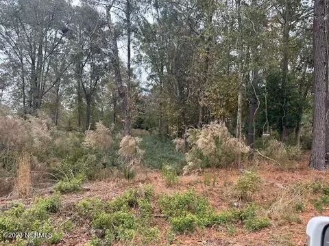 lot31 Button Bush, Hampstead, NC 28443 photo 5