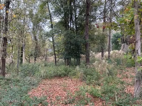 lot31 Button Bush, Hampstead, NC 28443 photo 2