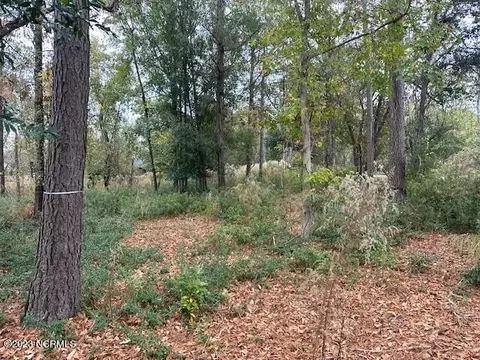lot31 Button Bush, Hampstead, NC 28443 photo 4