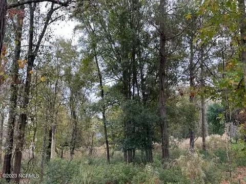 lot31 Button Bush, Hampstead, NC 28443
